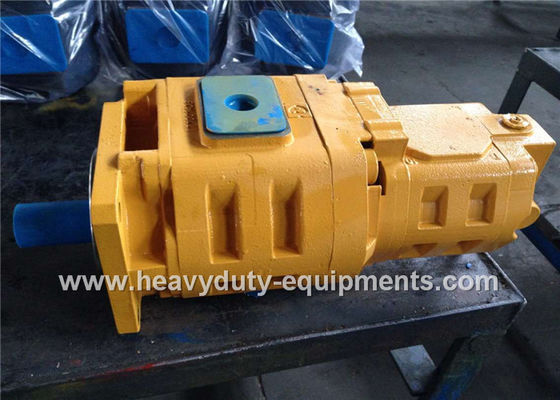 চীন Hydraulic gear pump 1010000007 for Zoomlion crane with warranty সরবরাহকারী