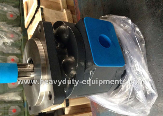 চীন Engineering Construction Equipment Spare Parts Industrial Hydraulic Pumps LW280 WZ3025 51 Shaft Extension সরবরাহকারী